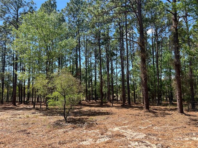 24 SE 130 COURT, Dunnellon, FL 34431