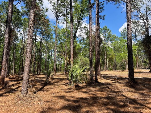 24 SE 130 COURT, Dunnellon, FL 34431