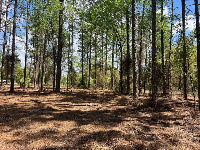 24 SE 130 COURT, Dunnellon, FL 34431