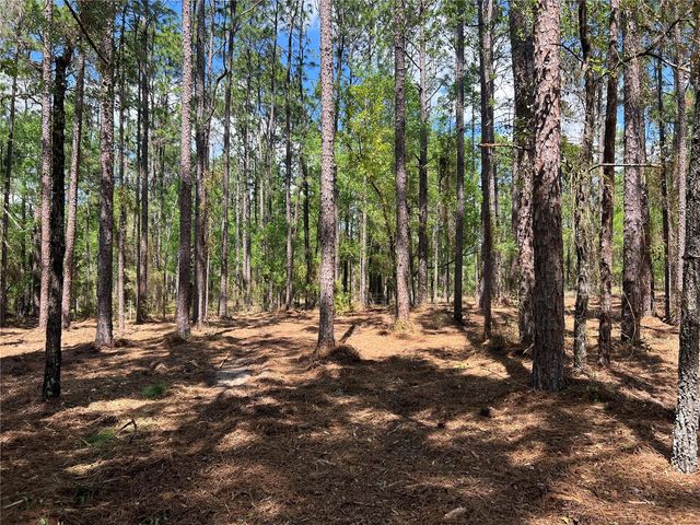 24 SE 130 COURT, Dunnellon, FL 34431