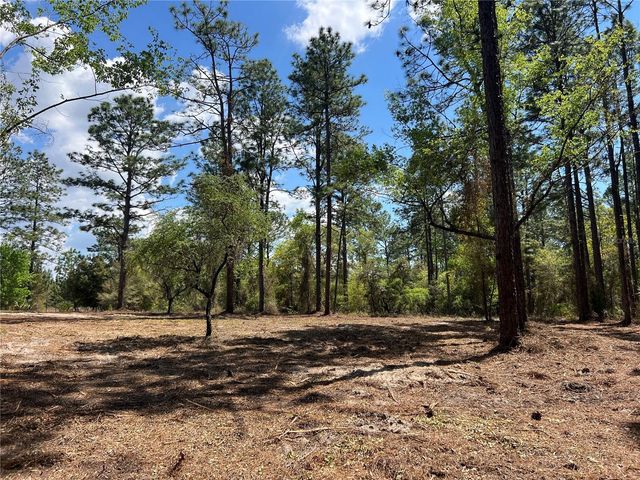 24 SE 130 COURT, Dunnellon, FL 34431