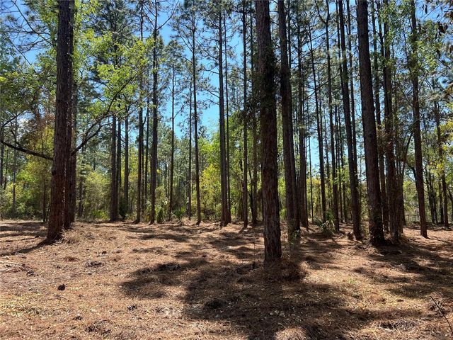 24 SE 130 COURT, Dunnellon, FL 34431