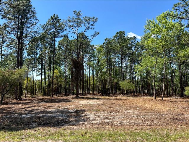 24 SE 130 COURT, Dunnellon, FL 34431