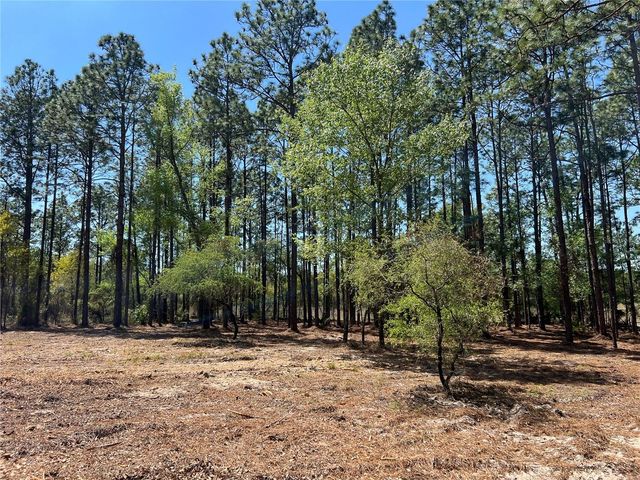 24 SE 130 COURT, Dunnellon, FL 34431