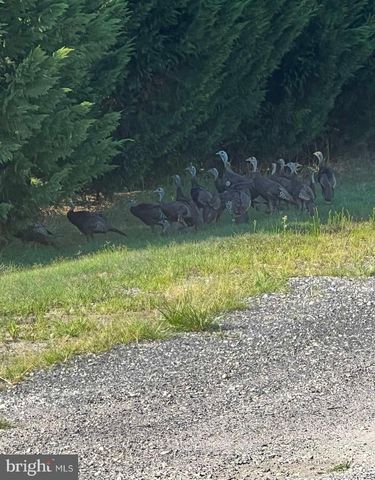 29 THREE BRIDGE RD, Monroeville, NJ 08343