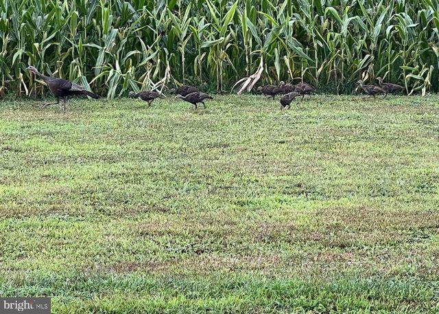 29 THREE BRIDGE RD, Monroeville, NJ 08343