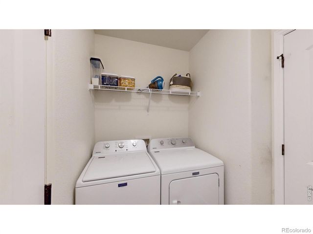 821 Mt Sneffels Avenue, Severance, CO 80550