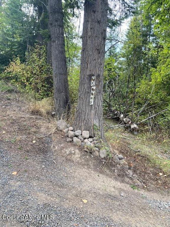 NKA E E Fly Catcher Lots 11,12 Rd, St. Maries, ID 83861 photo 2