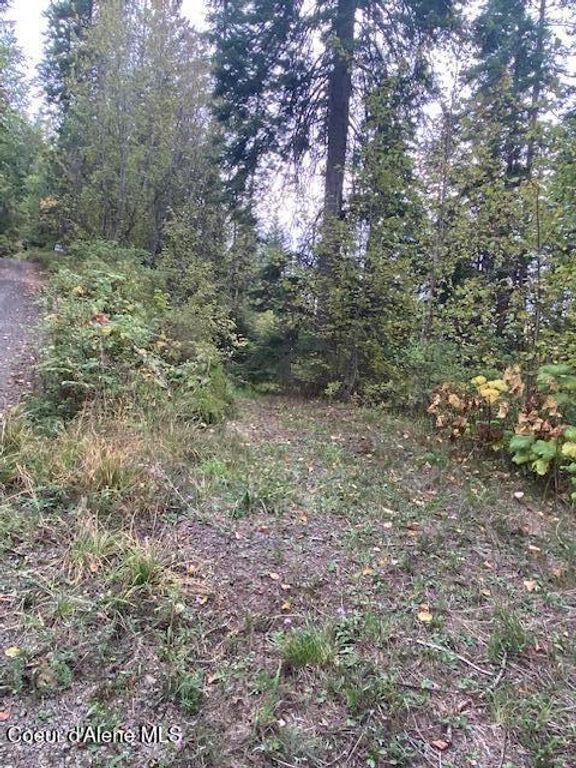 NKA E E Fly Catcher Lots 11,12 Rd, St. Maries, ID 83861 photo 3