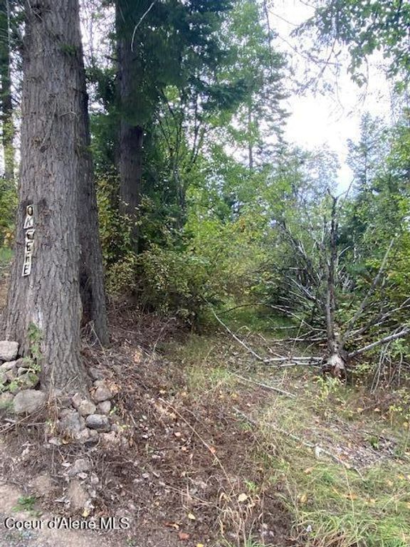 NKA E E Fly Catcher Lots 11,12 Rd, St. Maries, ID 83861 photo 4