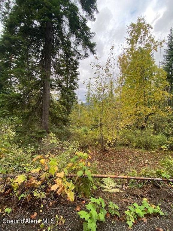 NKA E E Fly Catcher Lots 11,12 Rd, St. Maries, ID 83861 photo 7