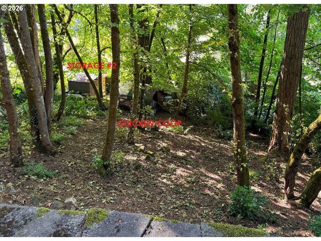 411 PERRY St, Springfield, OR 97477