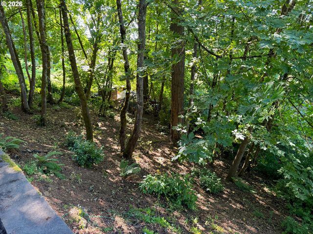 411 PERRY St, Springfield, OR 97477