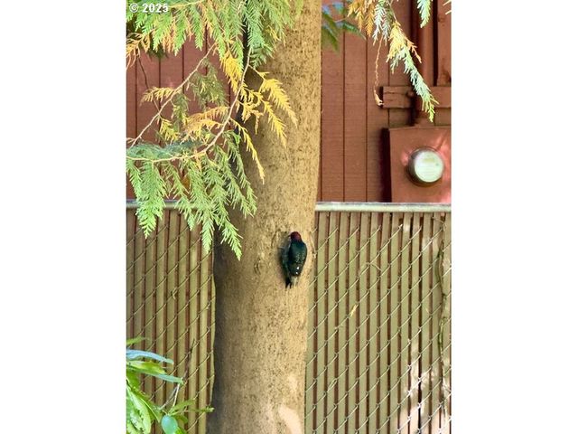 21191 E COUNTRY CLUB Rd, Brightwood, OR 97011