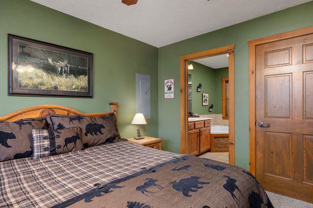 35 Willow Oak Lane, Branson, MO 65616