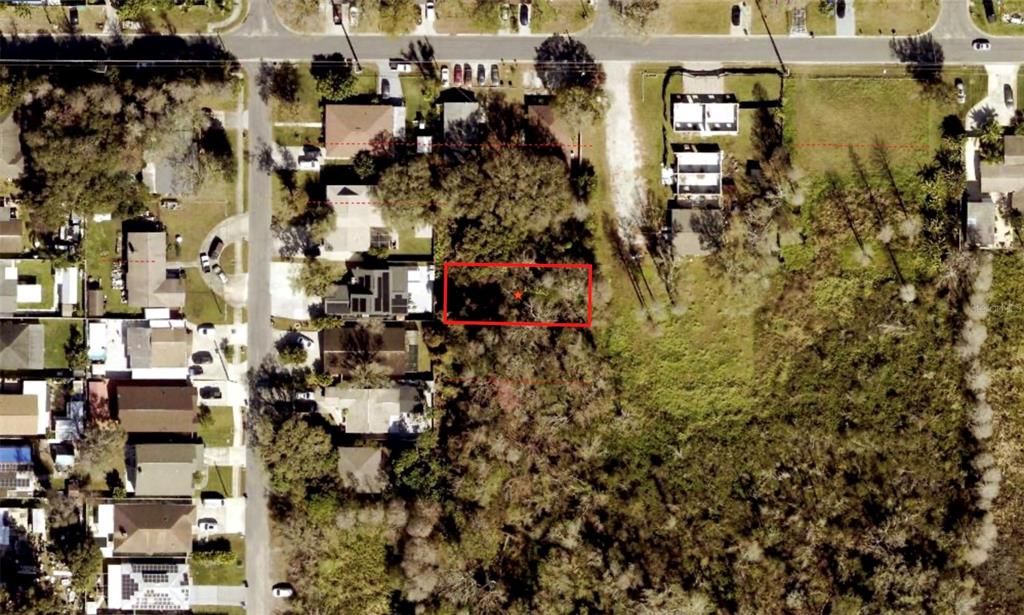 BLOSSOM AVENUE, Tampa, FL 33614