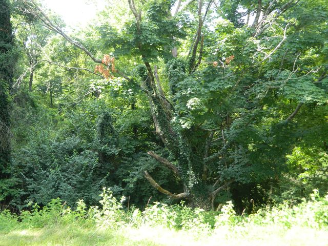 40 Harrison Avenue, Bellevue, KY 41073