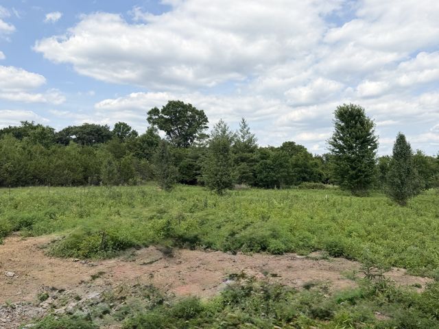 1165 Linwood Rd, Watertown, TN 37184