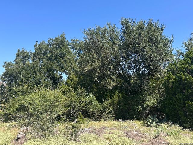 1136 Barolo Ct, New Braunfels, TX 78132
