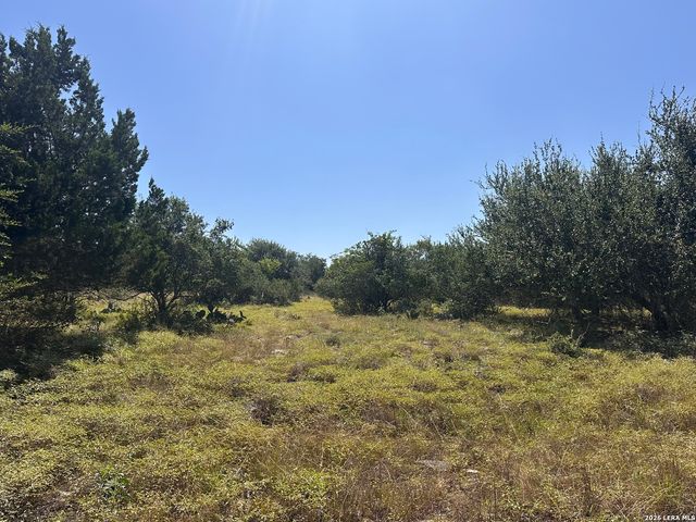 1136 Barolo Ct, New Braunfels, TX 78132