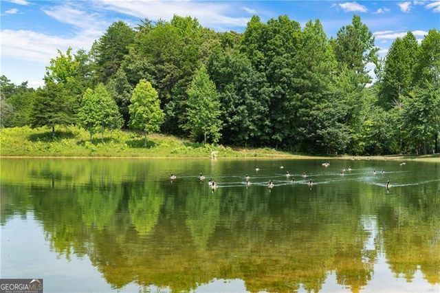 1405 Foxhound Trail NE, Ranger, GA 30734