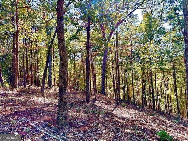 1405 Foxhound Trail NE, Ranger, GA 30734