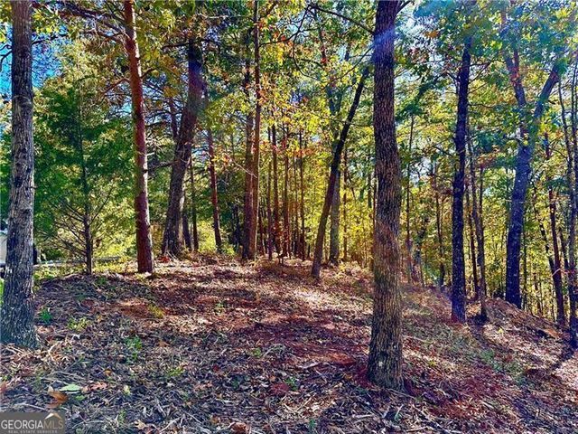 1405 Foxhound Trail NE, Ranger, GA 30734