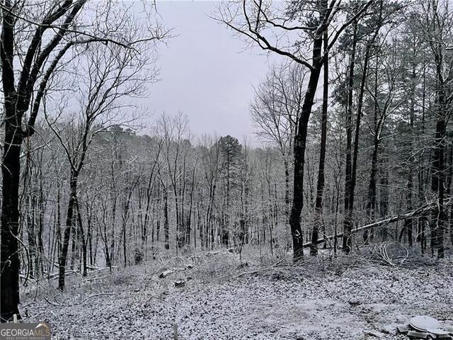 1405 Foxhound Trail NE, Ranger, GA 30734