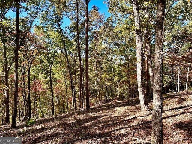 1405 Foxhound Trail NE, Ranger, GA 30734