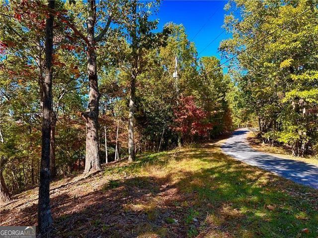 1405 Foxhound Trail NE, Ranger, GA 30734