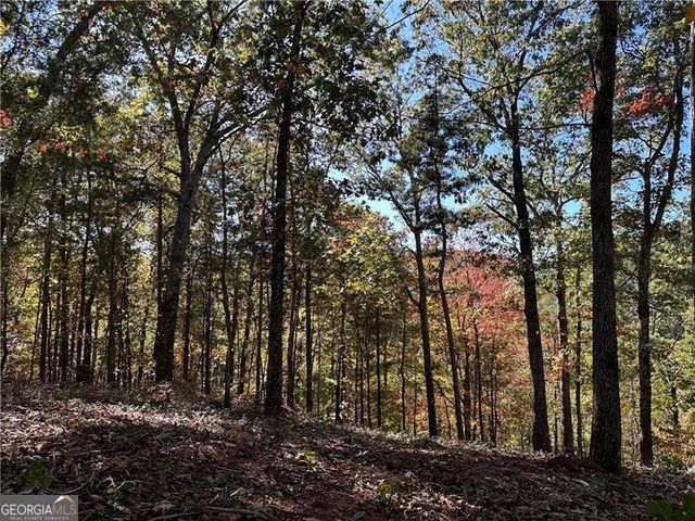 1405 Foxhound Trail NE, Ranger, GA 30734