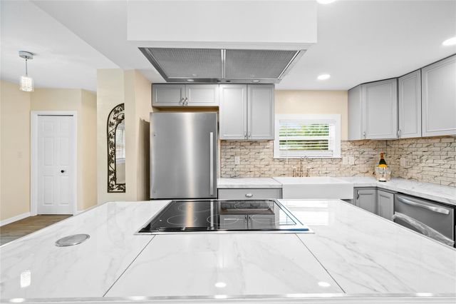 245 S RHODES STREET, Mount Dora, FL 32757