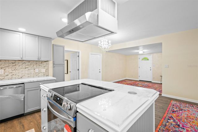 245 S RHODES STREET, Mount Dora, FL 32757