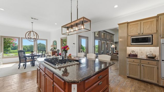 241 Pinnacle Peak Lane, Weatherford, TX 76087