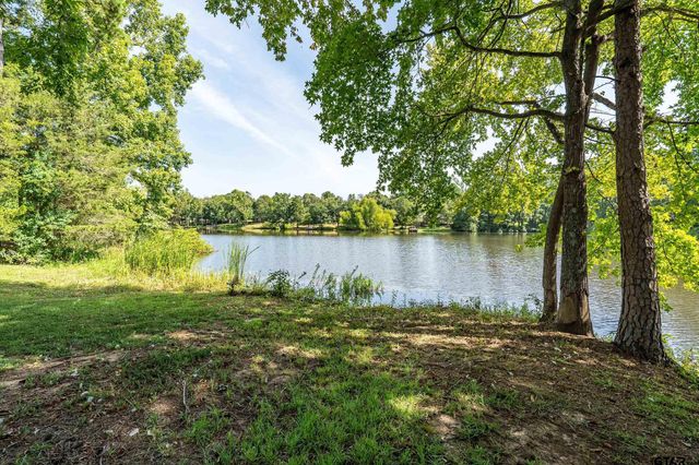 13165 Vicki Lynn Ln, Troup, TX 75789