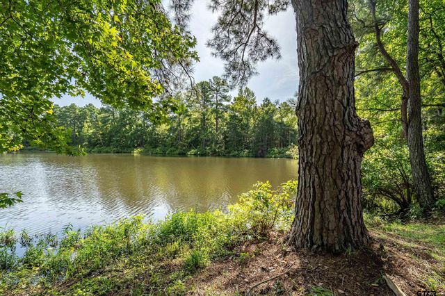 13165 Vicki Lynn Ln, Troup, TX 75789