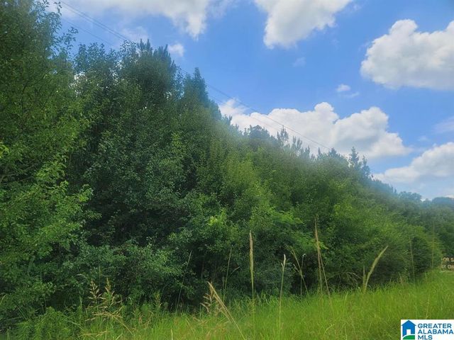 0 HIGHWAY 280, Harpersville, AL 35078