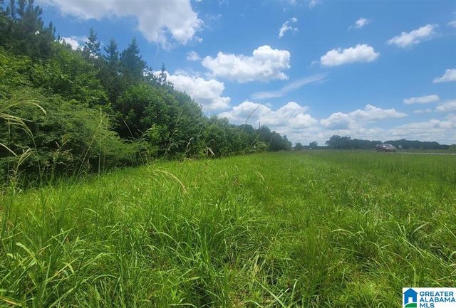 0 HIGHWAY 280, Harpersville, AL 35078