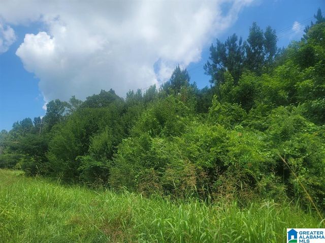 0 HIGHWAY 280, Harpersville, AL 35078