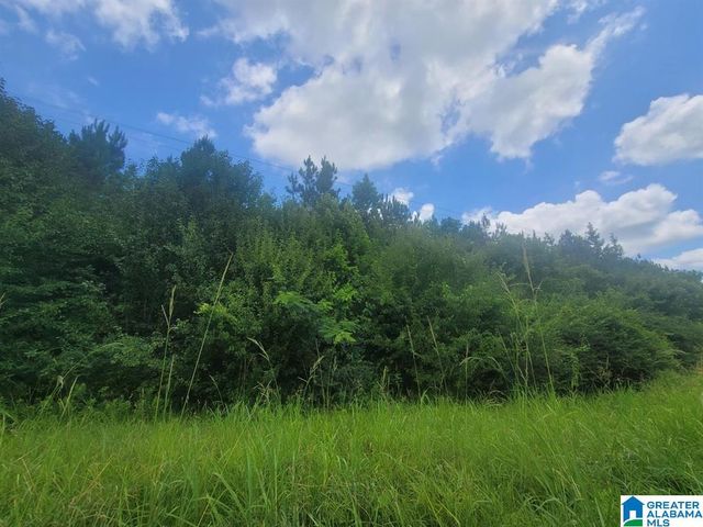 0 HIGHWAY 280, Harpersville, AL 35078