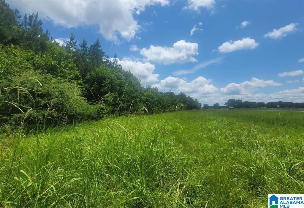 0 HIGHWAY 280, Harpersville, AL 35078