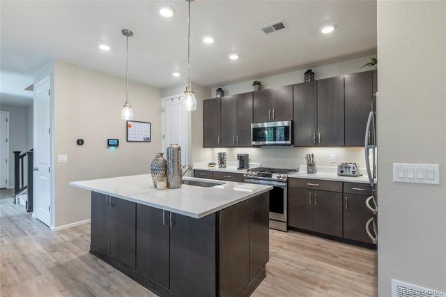 3198 Ireland Moss Street, Castle Rock, CO 80109