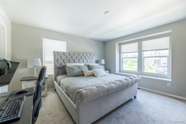 3198 Ireland Moss Street, Castle Rock, CO 80109