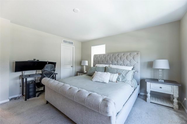 3198 Ireland Moss Street, Castle Rock, CO 80109