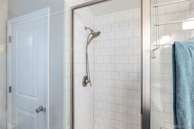 3198 Ireland Moss Street, Castle Rock, CO 80109