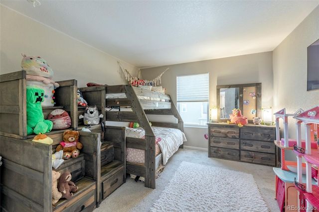 3198 Ireland Moss Street, Castle Rock, CO 80109