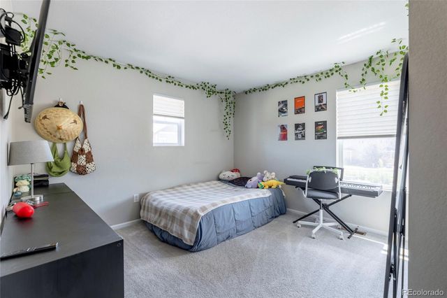 3198 Ireland Moss Street, Castle Rock, CO 80109