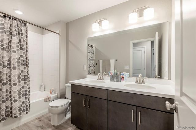 3198 Ireland Moss Street, Castle Rock, CO 80109