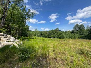 0 Remington Road # 11, Chester, VT 05143