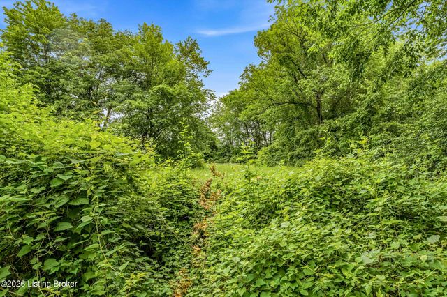 107 Buttercup Rd, Louisville, KY 40218